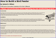 How to Build a Bird Feeder